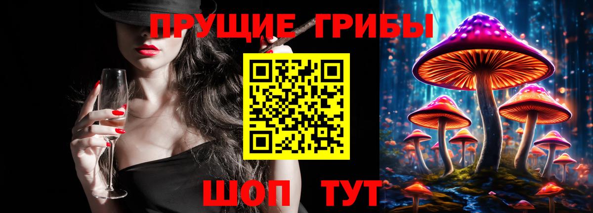 Белорецк  Псилоцибиновые грибы Psilocybe  Вход с VPN 